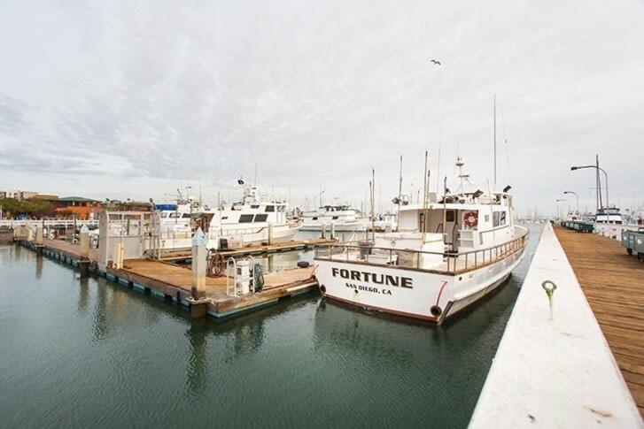 Nautical Point Loma Getaway - 7 Mins To Airport Holiday home *